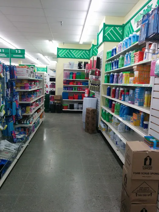 Dollar Tree 9