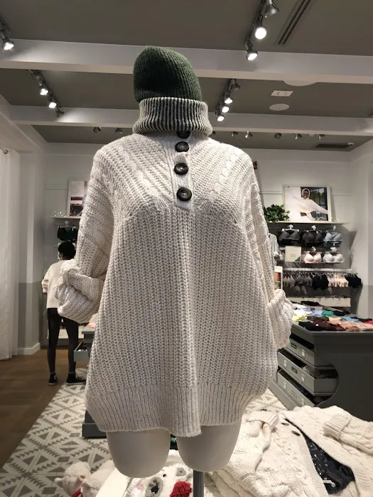 American Eagle 3