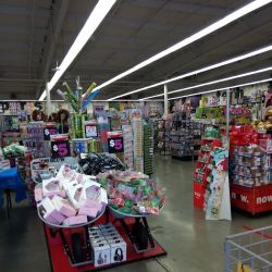 Five Below ico