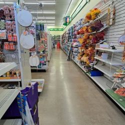 Dollar Tree ico