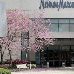 Neiman Marcus ico