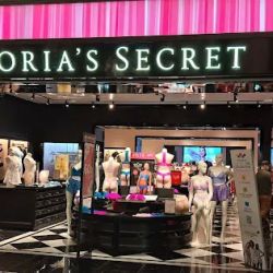 Victoria's Secret & PINK by Victoria's Secret ico