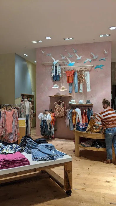Anthropologie 7