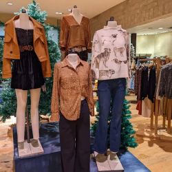 Anthropologie ico
