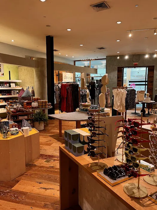 Anthropologie 3