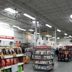 BJ's Wholesale Club ico