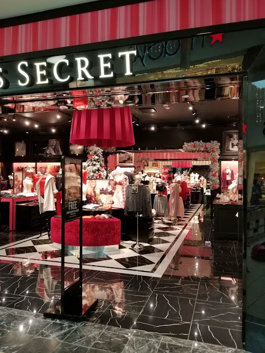 Victoria's Secret & PINK by Victoria's Secret 2