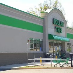 Dollar Tree ico
