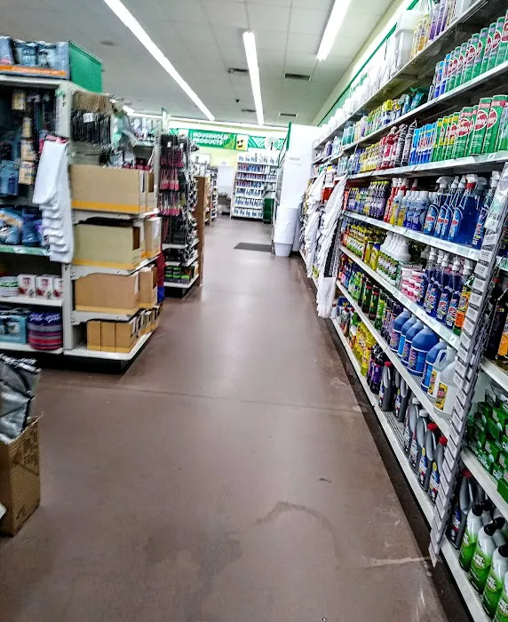Dollar Tree 6