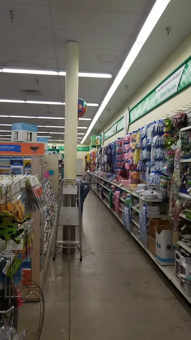 Dollar Tree 1