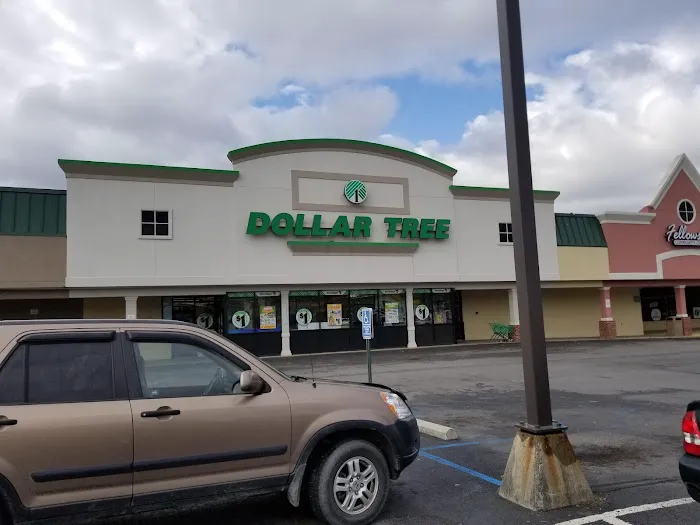 Dollar Tree 7