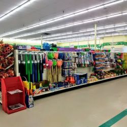 Dollar Tree ico