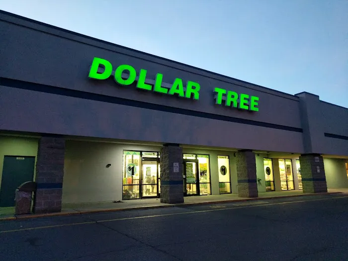 Dollar Tree 5