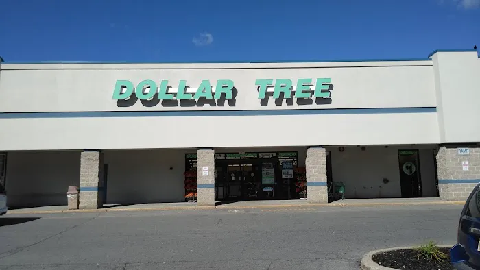 Dollar Tree 1