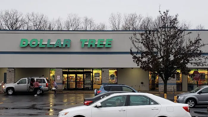 Dollar Tree 8
