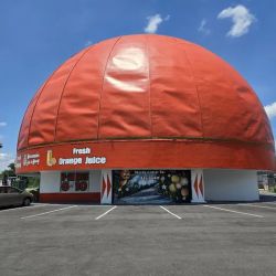 Eli’s Orange World ico