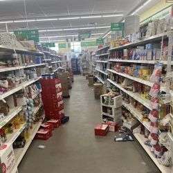 Dollar Tree ico
