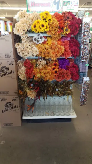 Dollar Tree 4