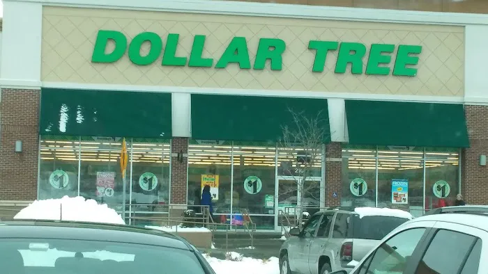 Dollar Tree 1