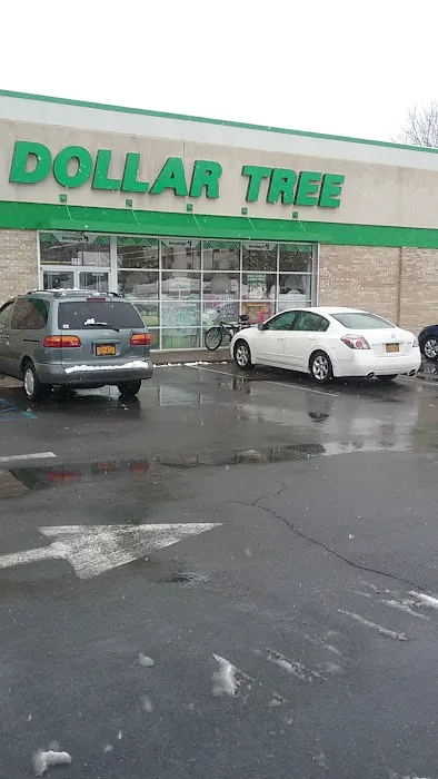 Dollar Tree 7