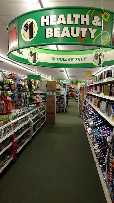 Dollar Tree 6