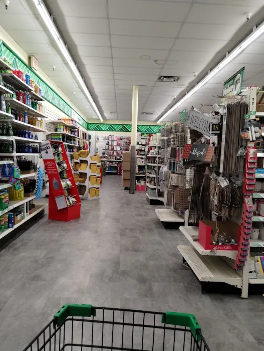 Dollar Tree 7