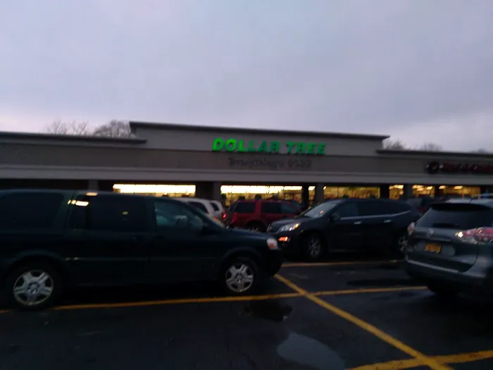 Dollar Tree 4