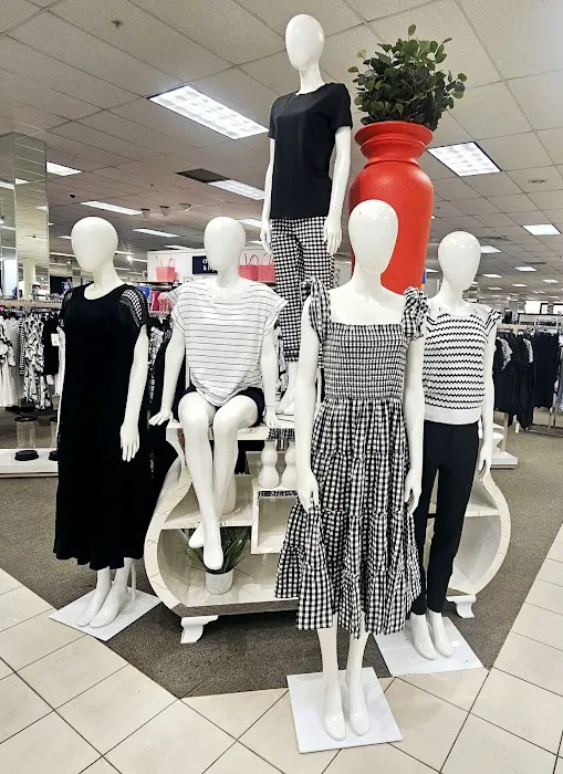 Belk 3