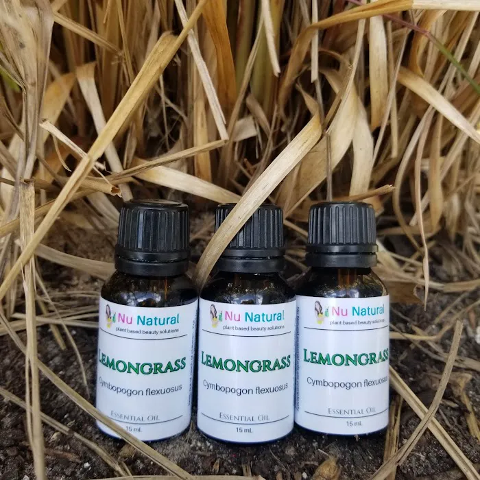 Mockingbird Apothecary & General Store 2