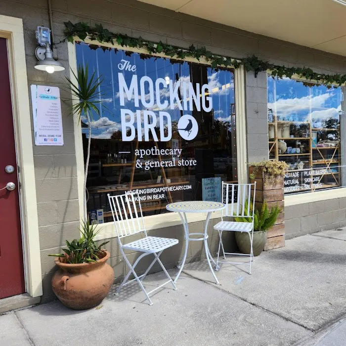 Mockingbird Apothecary & General Store 6