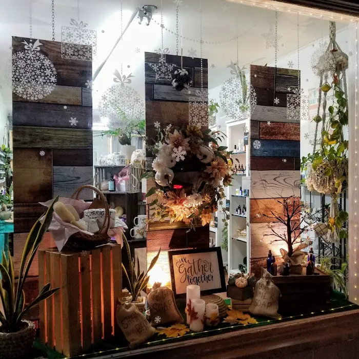 Mockingbird Apothecary & General Store 8