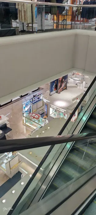 Dillard's 0