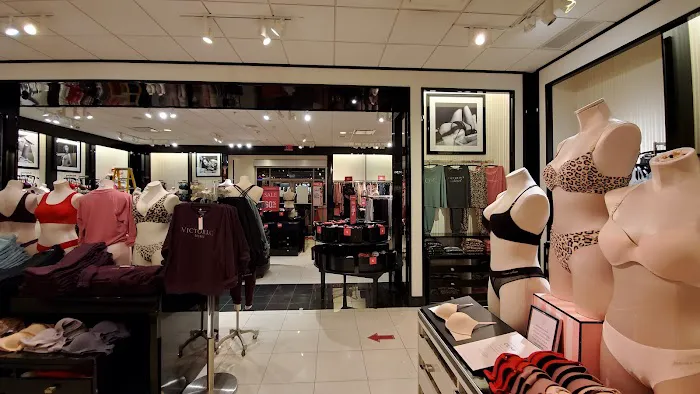 Victoria's Secret & PINK by Victoria's Secret 4
