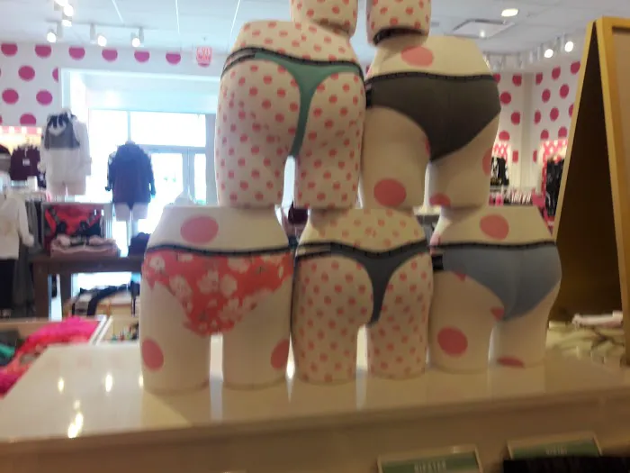 Victoria's Secret & PINK by Victoria's Secret 2