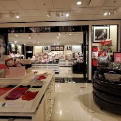 Victoria's Secret & PINK by Victoria's Secret ico