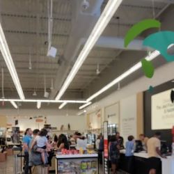 Macy's ico