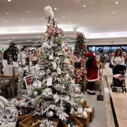 Dillard's ico