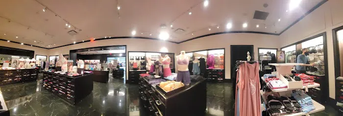 Victoria's Secret & PINK by Victoria's Secret 4