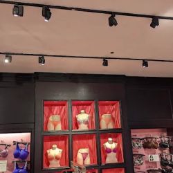 Victoria's Secret & PINK by Victoria's Secret ico
