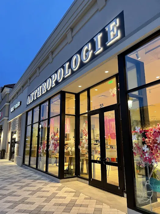 Anthropologie 8