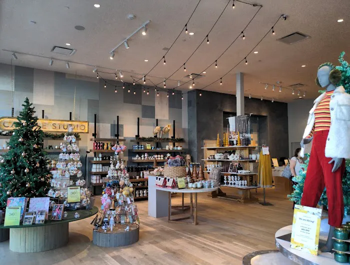 Anthropologie 3