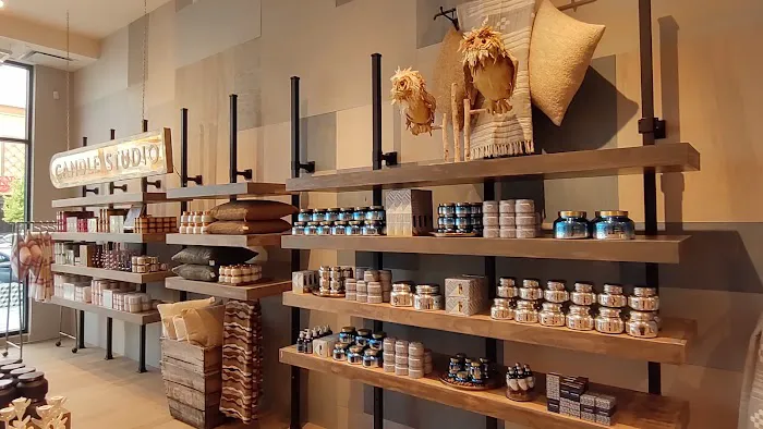 Anthropologie 0
