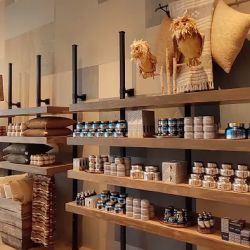 Anthropologie ico