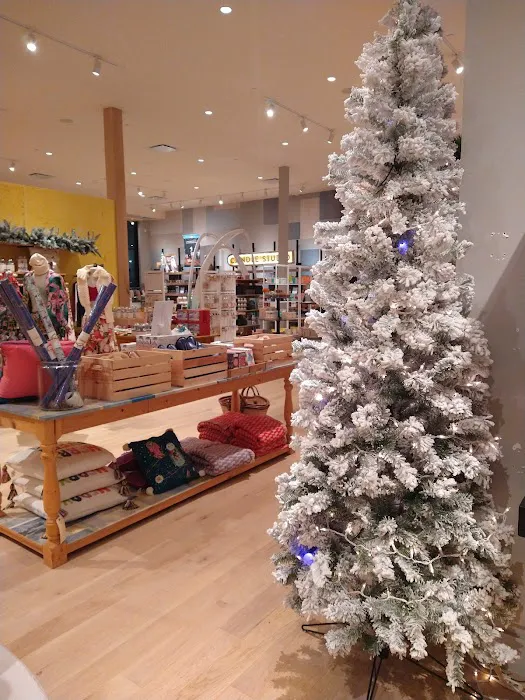 Anthropologie 9