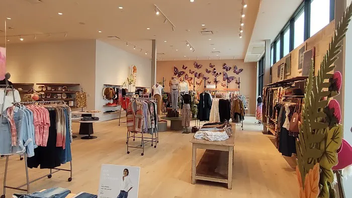 Anthropologie 4