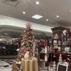 Dillard's ico