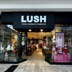 Lush Cosmetics The Avenues ico