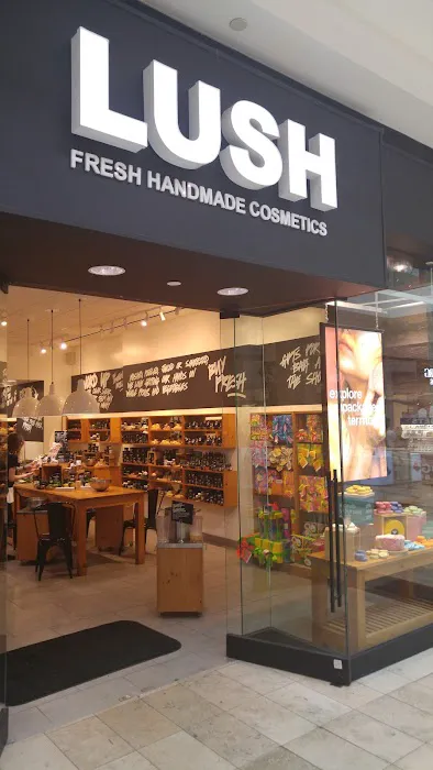 Lush Cosmetics The Avenues 2