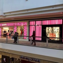 Victoria's Secret & PINK by Victoria's Secret ico