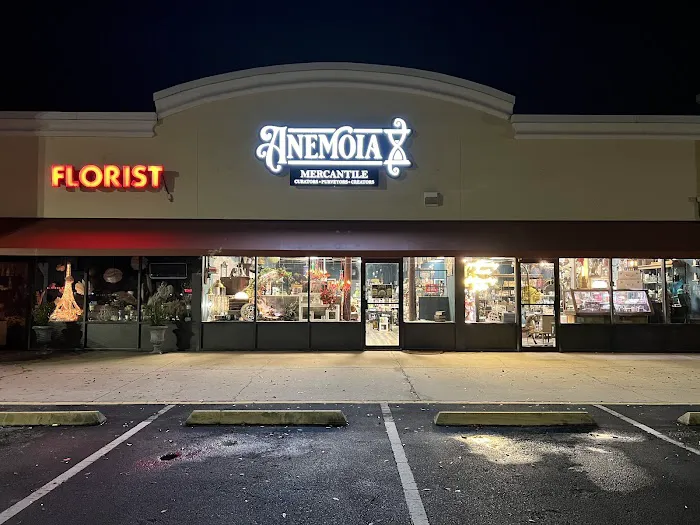 Anemoia Mercantile | Stationery, Craft, and Gift Shop 1